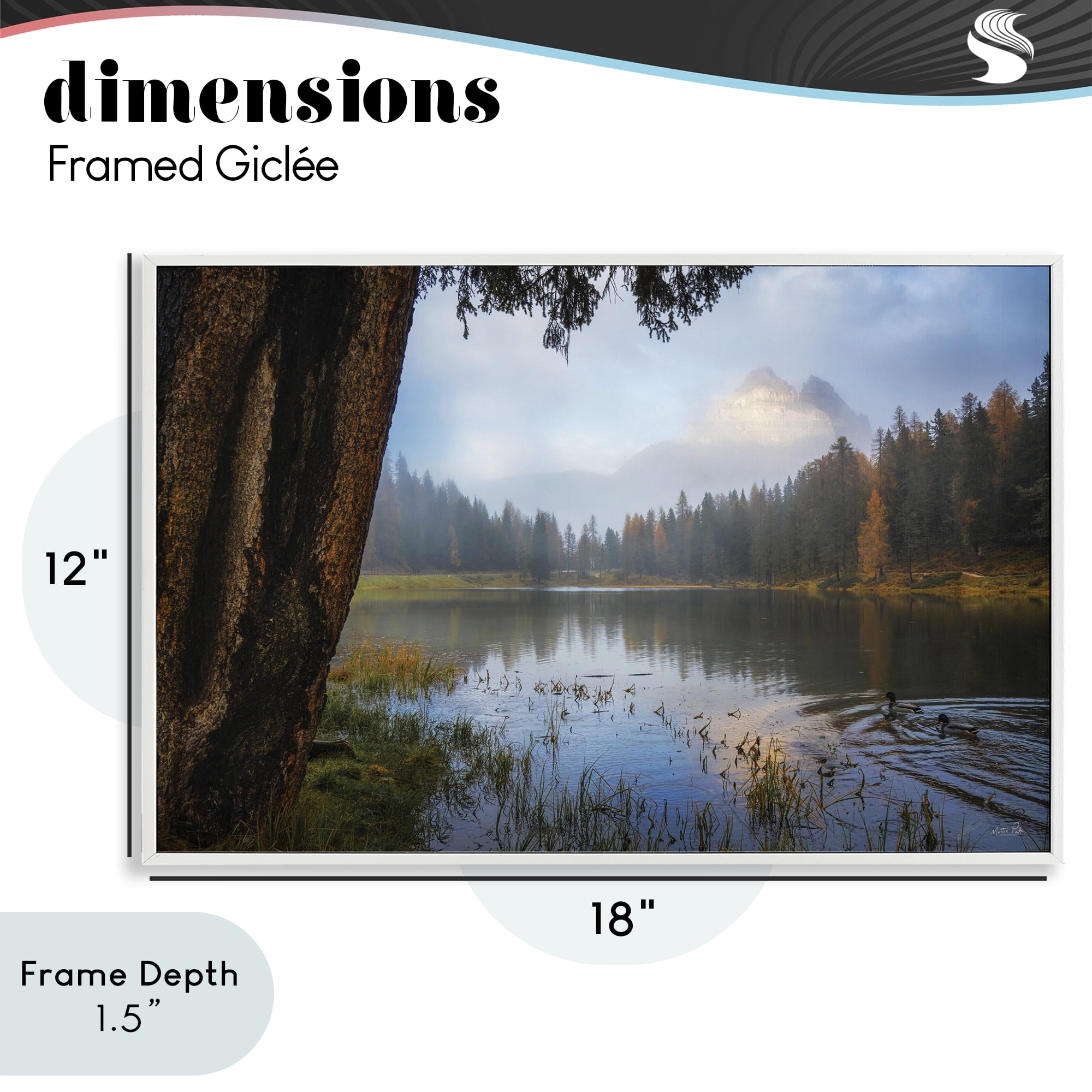Stupell Industries Autumn Forest Reflections White Framed Giclee Art, design by Martin Podt