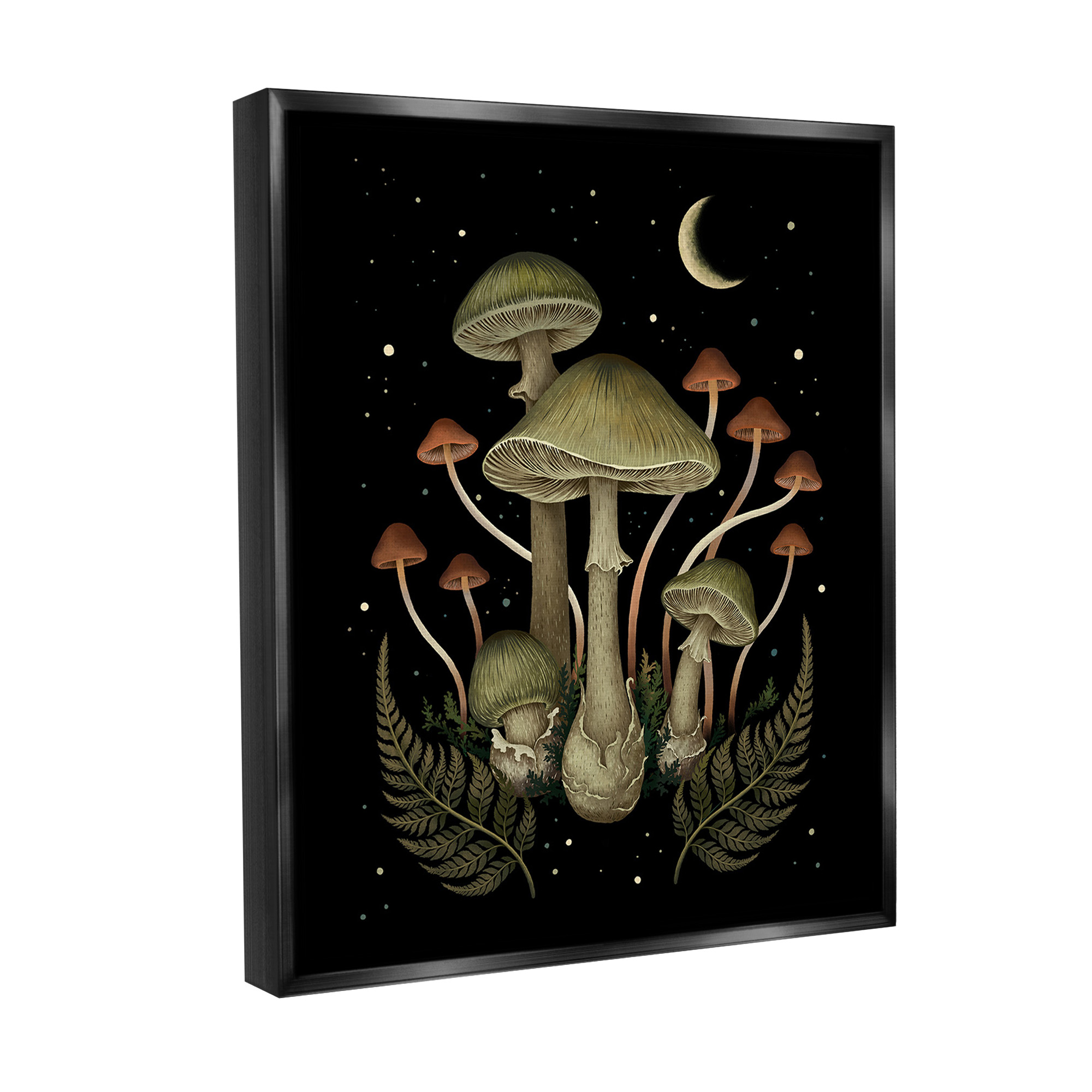 Stupell Industries Night Mushrooms & Ferns Botanical & Floral Painting Black Floater Framed Canvas Art Print Wall Art, 25 x 31