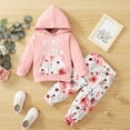 thumbnail image 2 of Otqutp Baby Birthday Outfits Set Toddler Girl Hoodie Long Sleeve Monogram Print Top Floral Pant Suit for 0 To 4 Years Elastic Pants 2PCS Fall Winter Clothes, 2 of 6