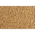 thumbnail image 2 of WHITE POPPING SORGHUM SEED,Grain, floral arrangements (dried or fresh flower)(3000 Seeds), 2 of 4