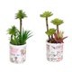 thumbnail image 1 of 2 uds suculentas de simulación en macetas pequeños adornos artificiales plantas verdes artificiales, 1 of 5