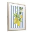 thumbnail image 2 of Stupell Industries Farmhouse Lemon Blossom on Blue Stripes Birch Framed Print Under Glass, 17 x 21, by Lanie Loreth, 2 of 8