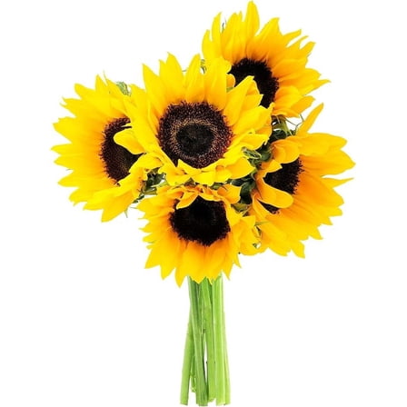Kabloom Bouquet of Fresh 5 Yellow Sunflowers, Cut Flowers, Spring Florals