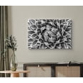 thumbnail image 2 of wall26 Canvas Wall Art A White Striped Agaves Kazo Bana Succulent Botanical Plants Photography Modern Art Farmhouse/Country Dramatic Black and White for Living Room, Bedroom, Office - 16x24 inches, 2 of 4