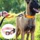 thumbnail image 3 of Collar para perro impermeable, nailon recubierto de secado rápido e inodoro para facilitar la limpieza en la playa y la natación., 3 of 5