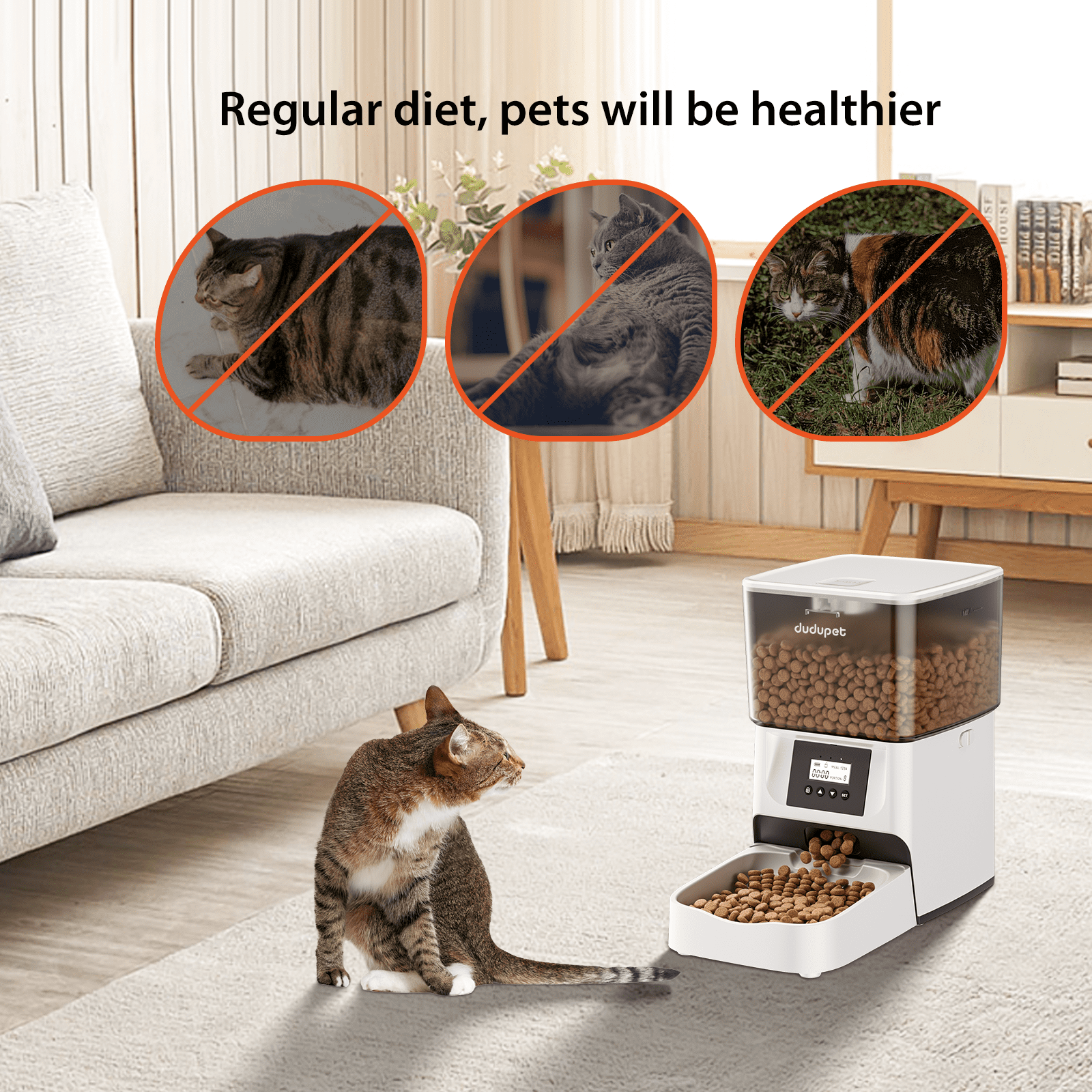 dudupet Automatic Cat Feeder,4L Timed Cats Food Dispenser Smart Pet Feeder Dogs 1-4 Meals per Day