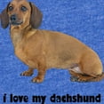 thumbnail image 2 of CafePress - FIN Dachshund Smooth Love - Cute Infant Baby Football Bodysuit, 2 of 3