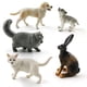 thumbnail image 4 of Komodo-figura de dragón, lagarto, Lobo, perro, gato, perezoso, pájaro, zorro, modelo de Animal, decoración del hogar, accesorios de decoración de jardín de hadas en miniatura, 4 of 4