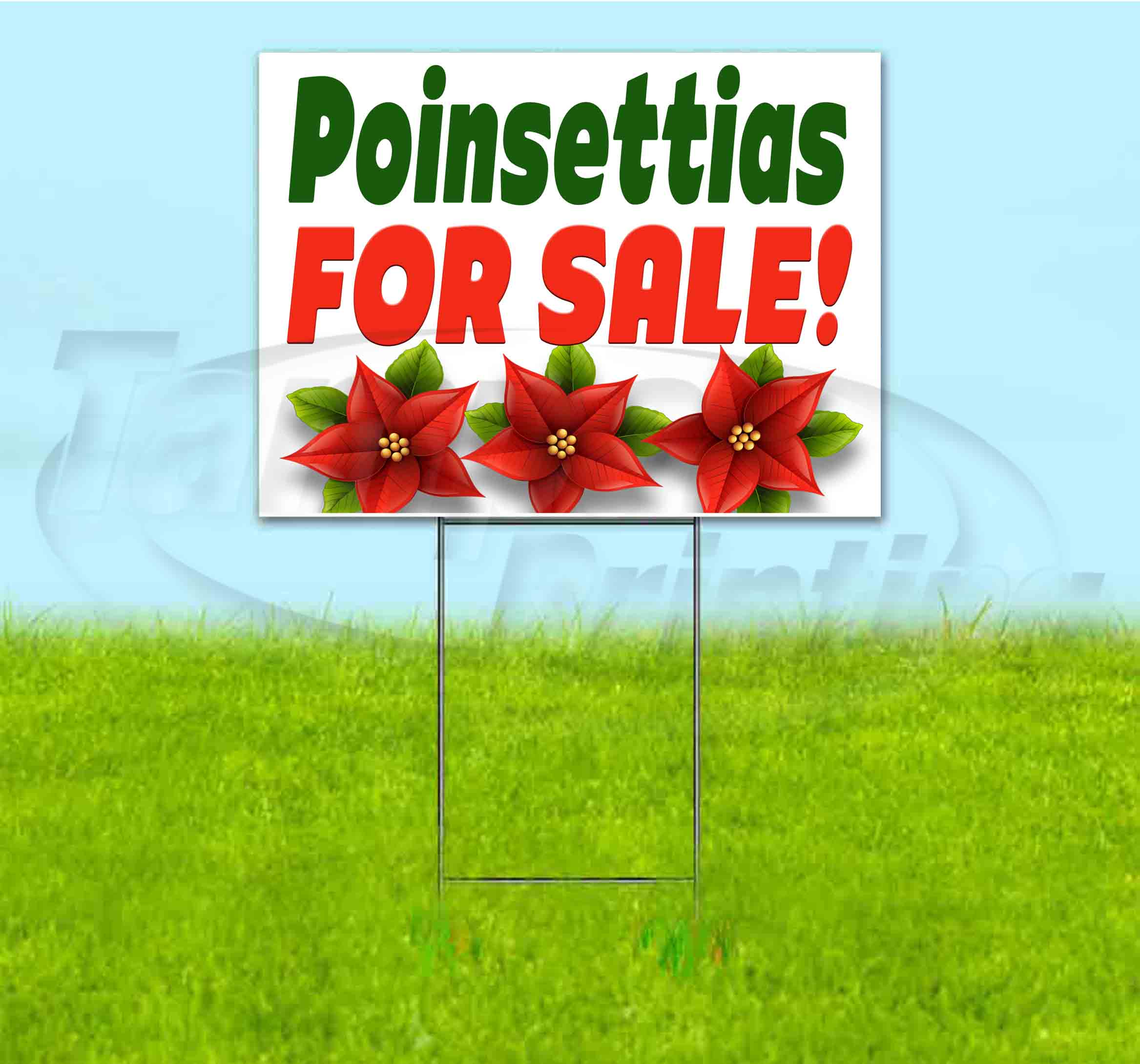 Poinsettias For Sale (18" x 24") Yard Sign, Includes Metal Step Stake