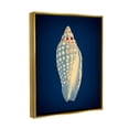 thumbnail image 3 of Stupell Industries Contemporary Conch Shell Animals & Insects Painting Gold Floater Framed Art Print Wall Art, 25 x 31, 3 of 9