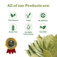 thumbnail image 2 of Spice Magic Bay Leaves | Tej Patta | Spice Whole 1.75 (100g) 100% Natural, 2 of 6
