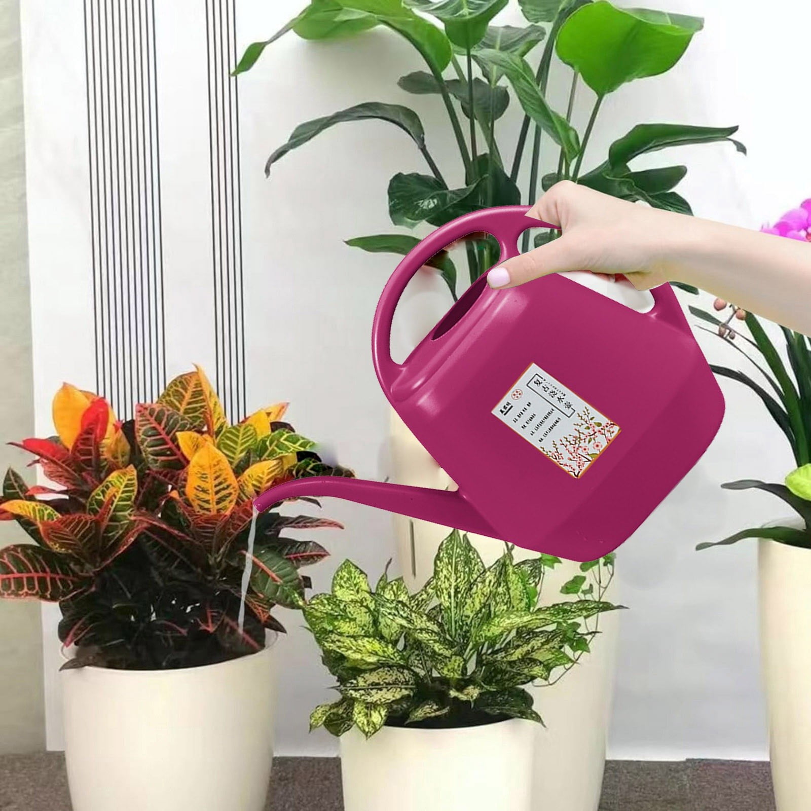 1 Gallon Plastic Watering Can with Handle and Long Spout，D