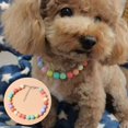 thumbnail image 2 of Mosey Pretty Puppy Necklace Attractive   for Weddings   Pet Jewelry, 2 of 7