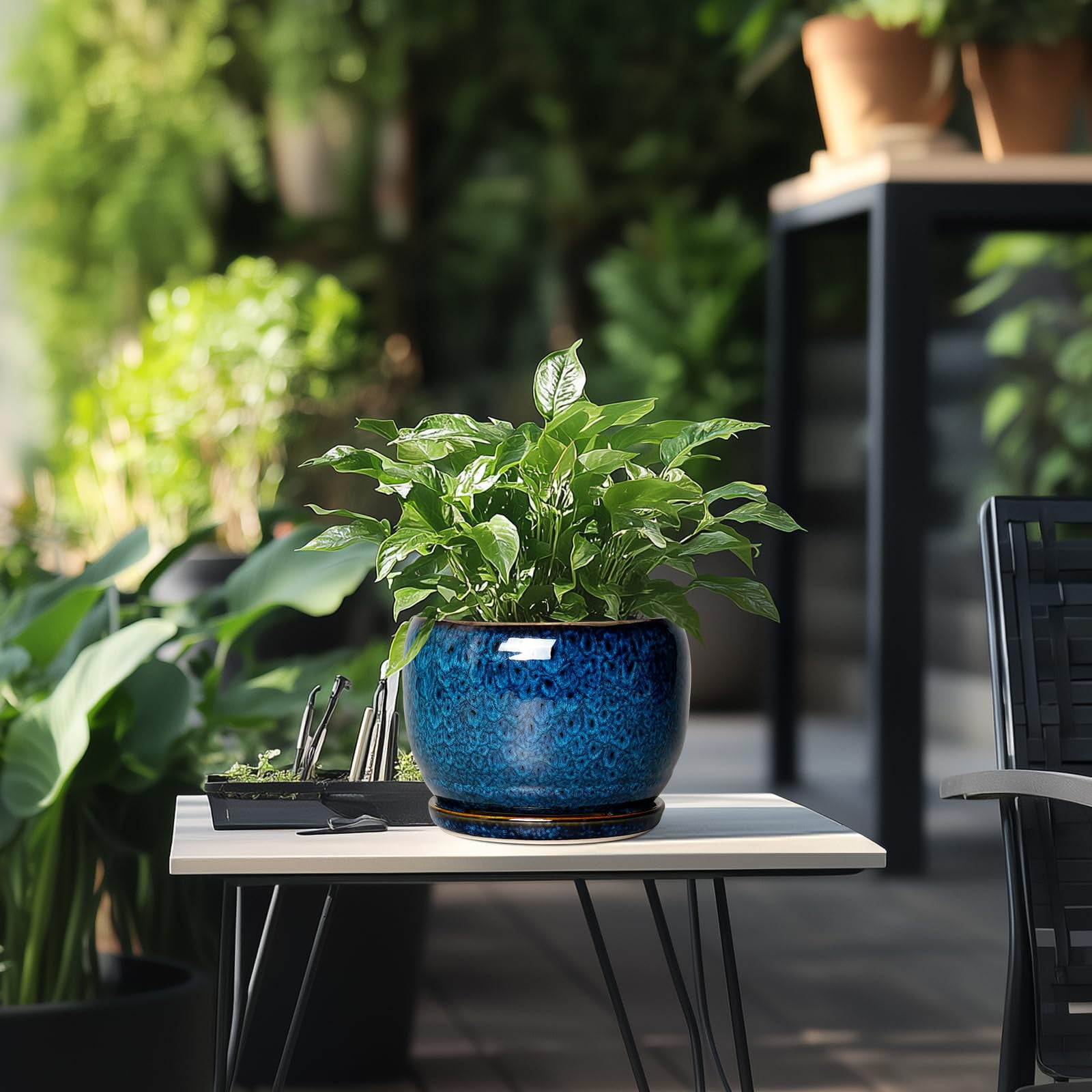 Flower Pots 8 inch, Modern Medium Round Ceramic Planter with Drainage, Gift for Women & Mom, for Orchids & Indoor Plants, Blue Glaze