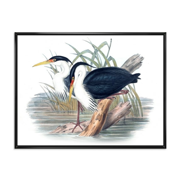 Designart 'Ancient Bird Life II' Traditional Framed Canvas Wall Art Print