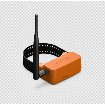 Sensor Life Monitor - Alert Labs ALF-000013-001 - Flowie Water Sensor With Lifetime Monitoring