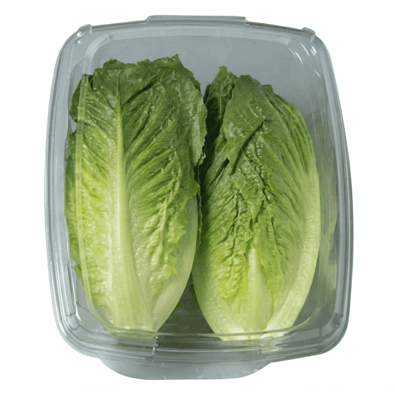 Fresh Whole Roma Crunch Lettuce, 12 Oz Clamshell