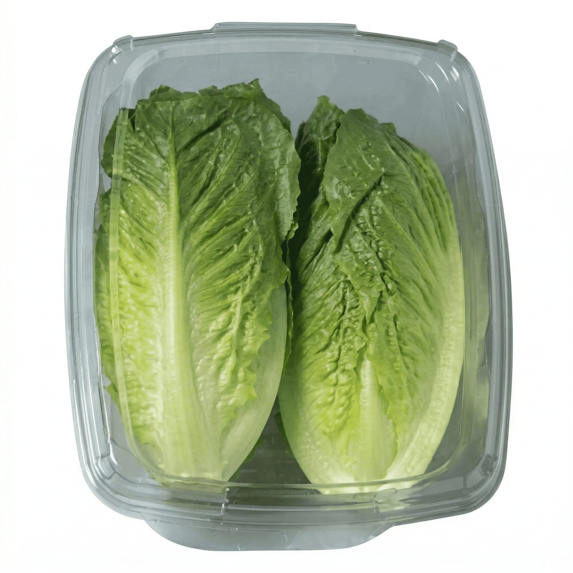 Fresh Whole Roma Crunch Lettuce, 12 Oz Clamshell