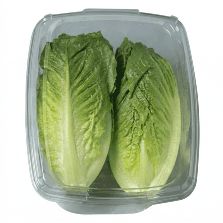 Fresh Whole Roma Crunch Lettuce, 12 Oz Clamshell