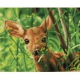 thumbnail image 2 of Diamond Dotz Forest Babe - Pre-Framed Kit Deer Diamond Painting Kits for Adults - Diamond Art Kits a Relaxing Creative Craft Kit with Dotz Gems  16"x13", 2 of 3