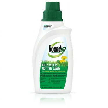 Roundup For Lawns 2 Concentrate Weed Killer for Northern Grass, 32 oz., Kills 250  Weeds