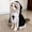 Black Size L U9, variant on Pet Halloween Nun Costume, TOUMENY Spooky Black Dress With Attached Hood For Small Cats Dogs, Cute Fitted Pet Apparel For Holiday Photo Party, Black