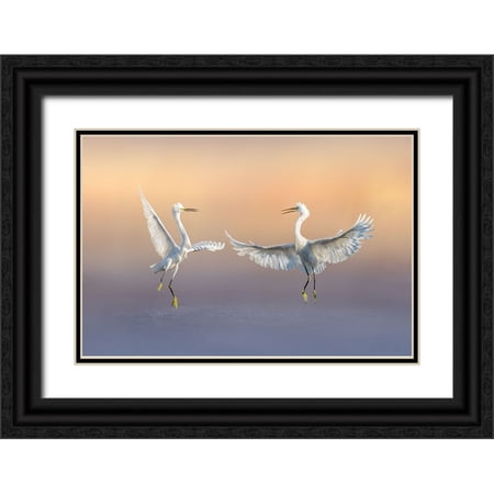 Zhao, Qing 14x11 Black Ornate Wood Framed with Double Matting Museum Art Print Titled - Happily Forever
