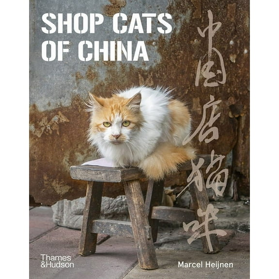 Shop Cats of China, (Paperback)