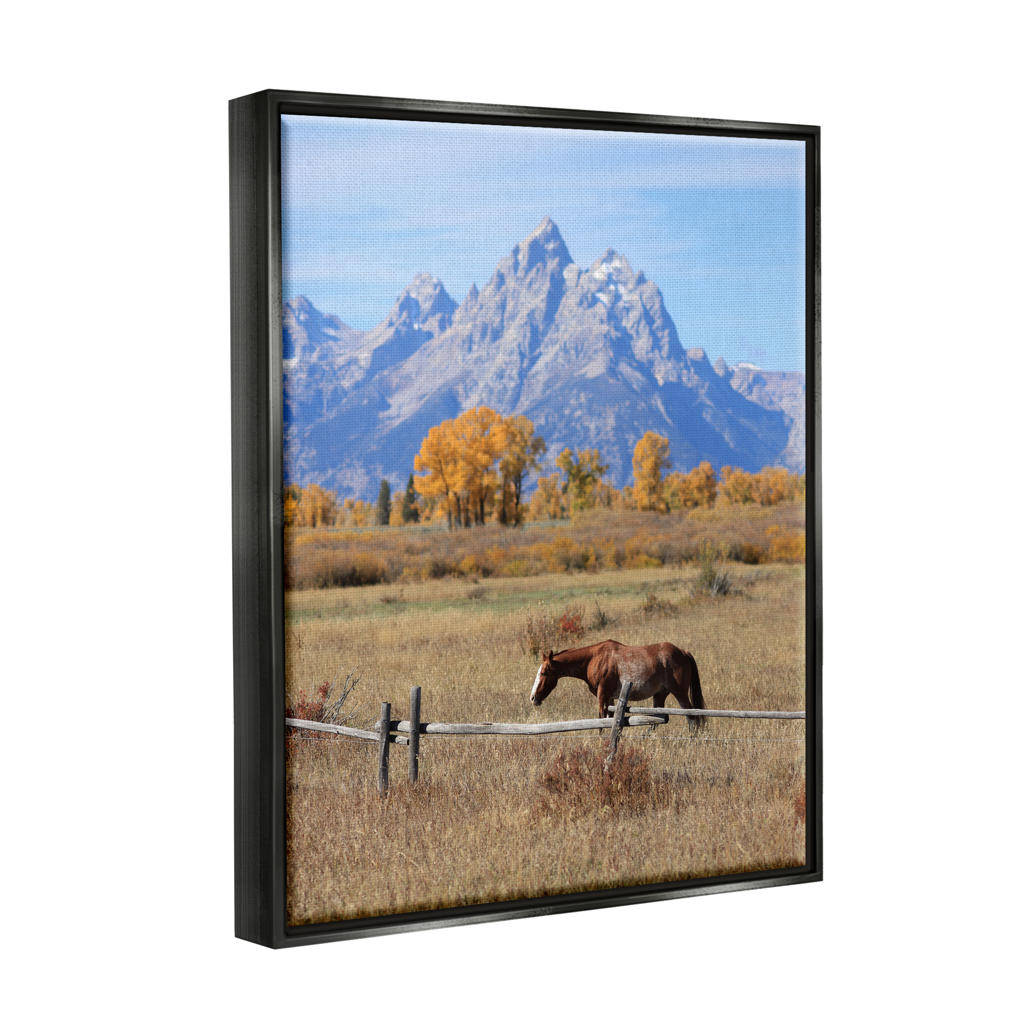 Stupell Industries Mountain Nature Horse Landscape Photography Black Floater Framed Canvas Art Print Wall Art, 25 x 31