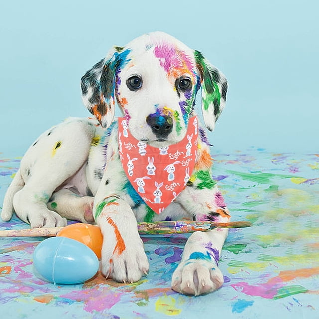 Bufanda de Pascua de dos caras para perros y gatos | Bandana triangular de licra multicolor | Accesorio elegante y duradero para mascotas | Babero festivo y servilleta para la hora de comer par