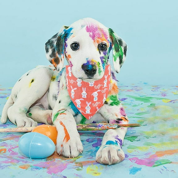 Wooowa Easter Festival Double Sided Pet Bandana Scarf, for Cat Dog Apparel and Holiday Decor