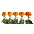 thumbnail image 4 of Painted Creepy Confetti Roses 50 cm - Fresh Cut - 125 Stems, 4 of 8