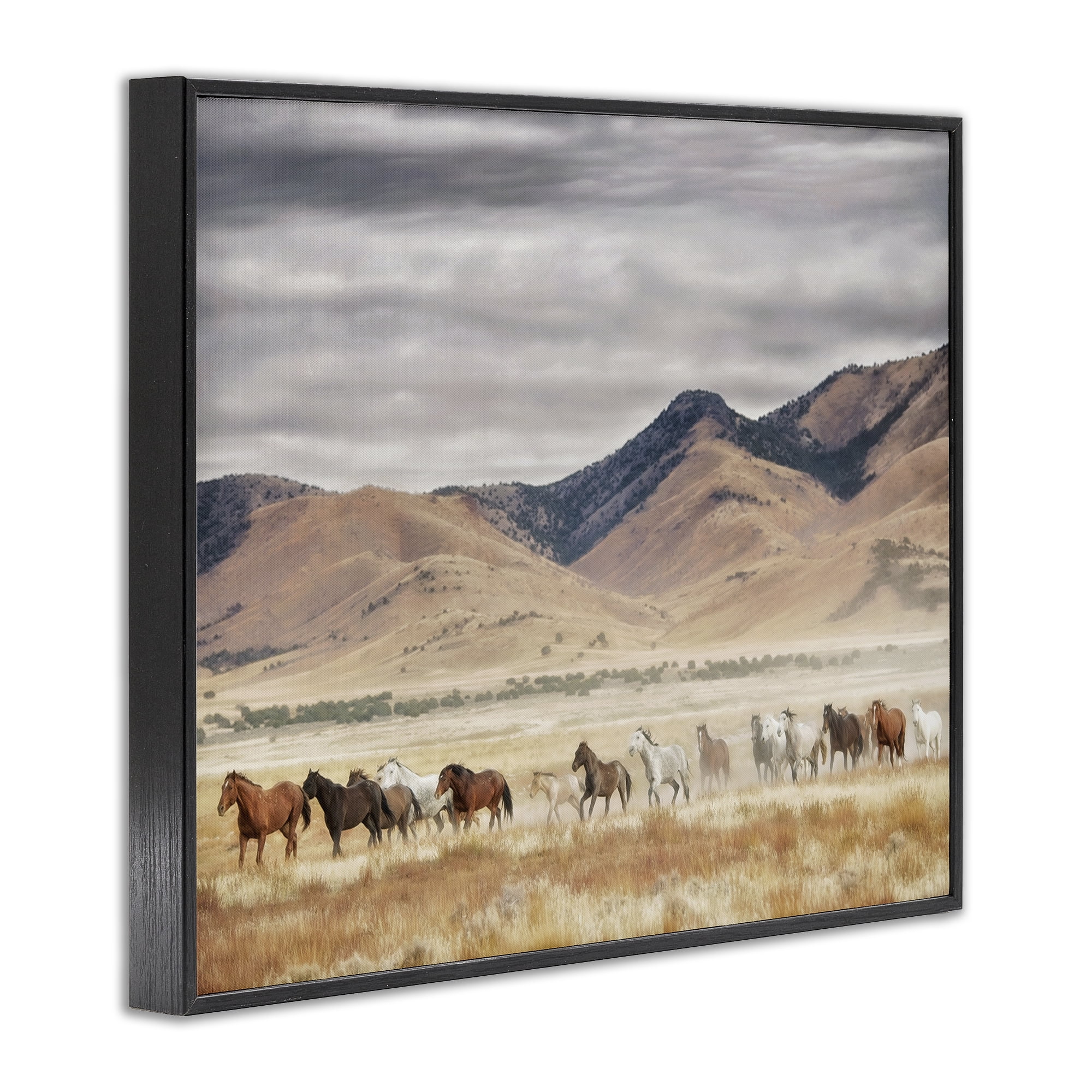 Wild Horses Roaming Across Western Landscape Black Framed Giclee Art, 20 x 16