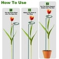 thumbnail image 7 of Remiawy 24 Pack 15.7 inch Plant Support Stakes, Metal Plant Stakes Garden Plant Single Stem Support Rings Amaryllis Stakes for Indoor Outdoor Plants, Orchid, Lily, Peony, Rose, Tomato, Monstera, 7 of 7