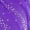 Purple, variant on Women's Cha Cha Latin Salsa Dance Outfits Sleeveless Ruched Crop Top with Fringe Swing  Skirt Purple S