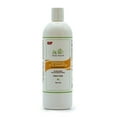 thumbnail image 1 of Organic Botanical Eco-Shampoo - Vanilla Orange 16oz, 1 of 4