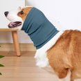 thumbnail image 1 of CBFFDC Ear Muffs Headband Dog Ear Cover High Elasticity Soft Solid Color Wear Resistant Anxiety Relief Noise Protection, 1 of 7