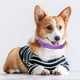 thumbnail image 3 of Collar calmante TPR ajustable de 62cm Collar calmante impermeable para perros Collar calmante para aliviar la ansiedad eliminar la inquietud accesorios para mascotas Hugtrwg Para estrenar, 3 of 9