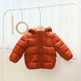 thumbnail image 4 of GYRATEDREAM Toddler Baby Winter Fleece Thicken Coats Boys Girls Teddy Bear Hooded Windproof Padded Jacket Outerwear Kids Warm Lined Zipper Down Jacket for 1-7 Years, 4 of 6