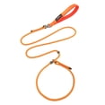 thumbnail image 2 of Laisse pour Chien Ajustable Antidérapante Laisse pour Chien Monobloc Réglable Laisse d'Entraînement pour Chien Sans Traction Laisses d'Entraînement Laisse pour Animal de Compagnie pour Petits, Moyens et Grands Chiens, 2 of 3