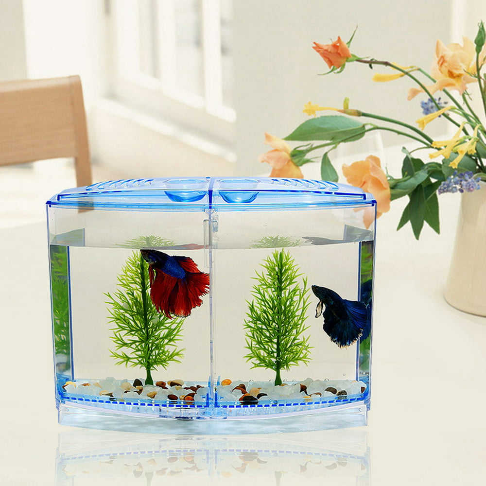 Tebru Mini Aquarium Fish Tank, Mini Fish Tank Aquarium Transparent ...
