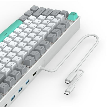 3inus - KEBOHUB EE01 Wired Mechanical Keyboard with 5-in-1 Hub, 87 Keys RGB Backlit, Hot-Swappable Switches for Mac & Windows - Brown Tactile