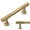 Champagne Bronze, variant on 10 Pack Brushed Satin Nickel Cabinet Knobs Single Hole Cabinet Pulls 1 Inch Drawer Knobs and Pulls for Bathroom Cabinets ZH0071