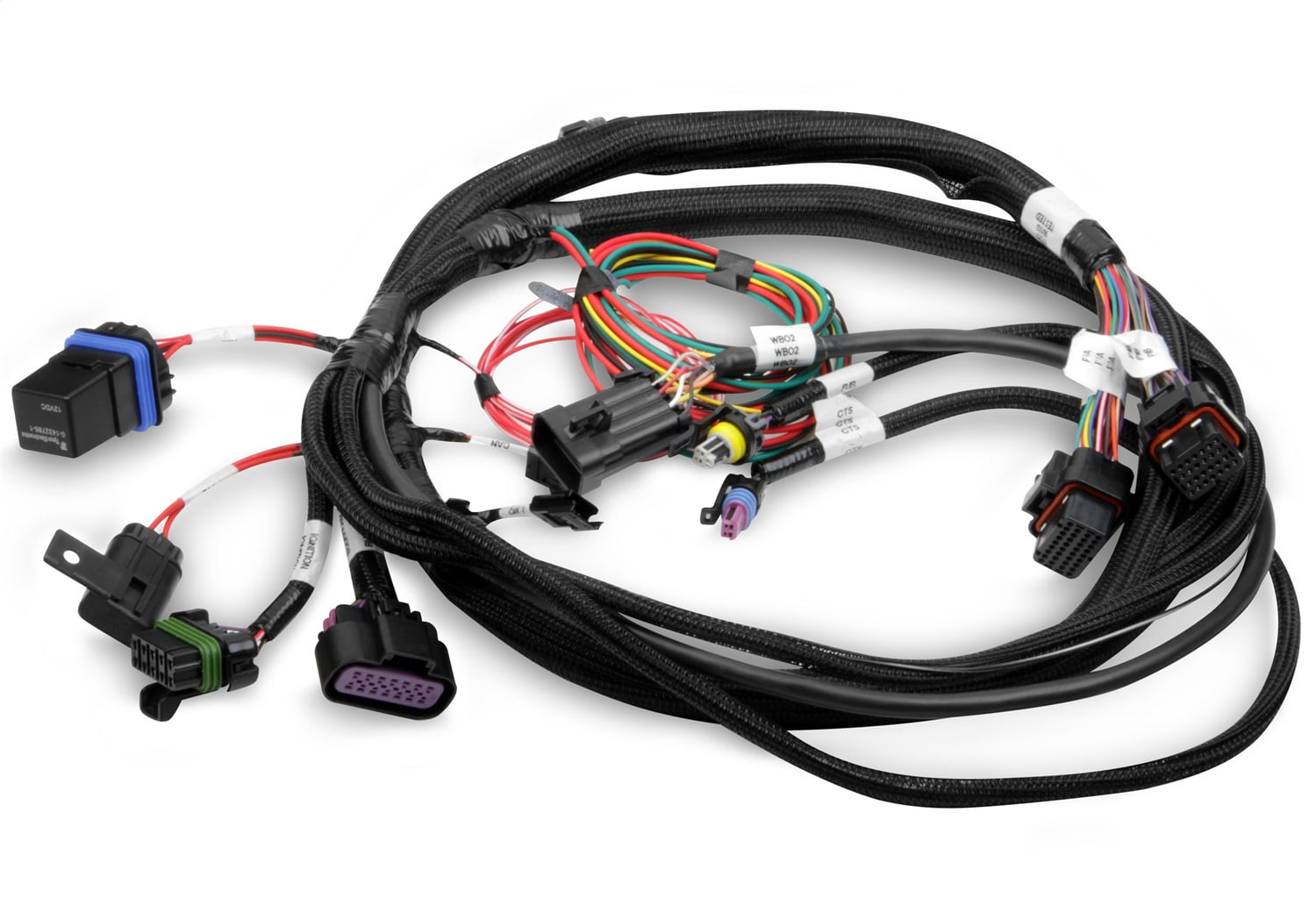 Terminator® EFI Wiring Harness