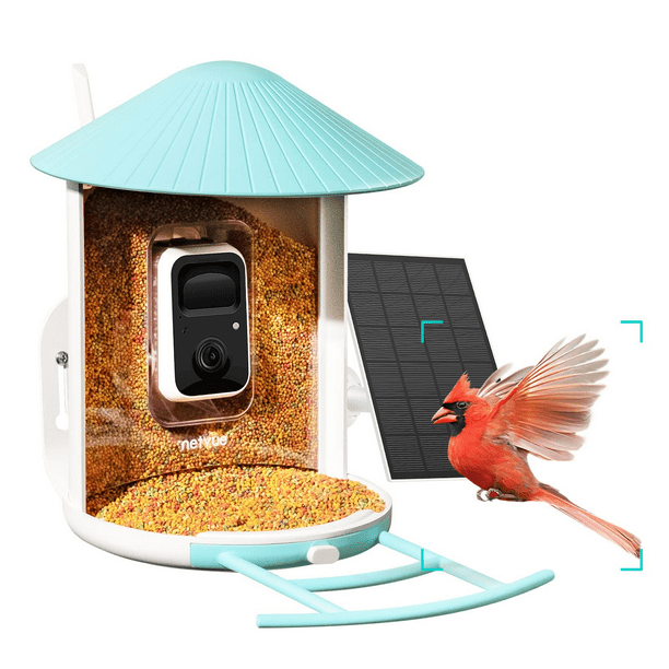 Smart Bird Feeder Camera Netvue Birdfy Automatic Outdoor Bird