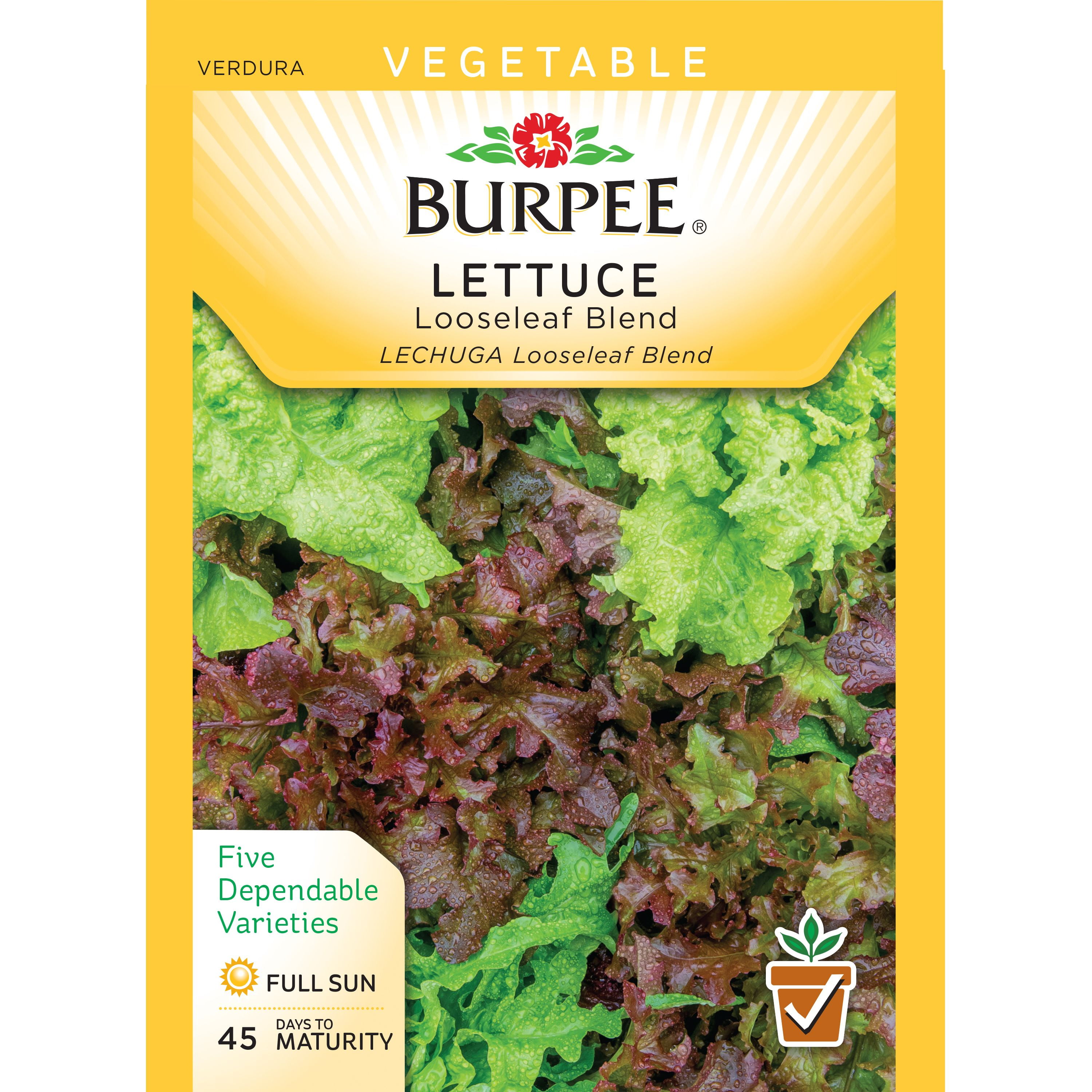 BurpeeLettuce, Looseleaf Blend Seed Packet