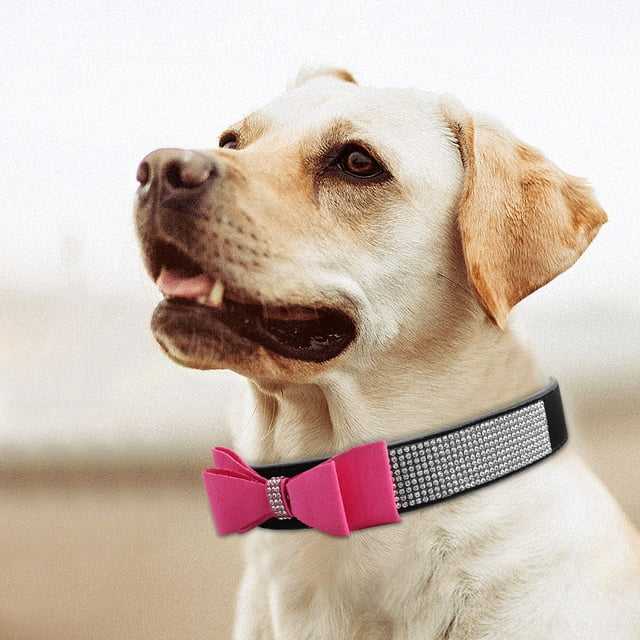 Colliers de Chien, Harnais de Chien pour Animaux de Compagnie Douce Laisse Rétractable Chien Laisse Percée Technologie