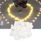 thumbnail image 1 of Luces De Cadena De Rosas, 3 Metros 20Led Usb Luces De Luces De Cadena De Hadas De Rosas Para La Decoración De La Boda Del Rbol Rosa For Día De San Valentín(Blanco Cálido) Ecomeon no, 1 of 6