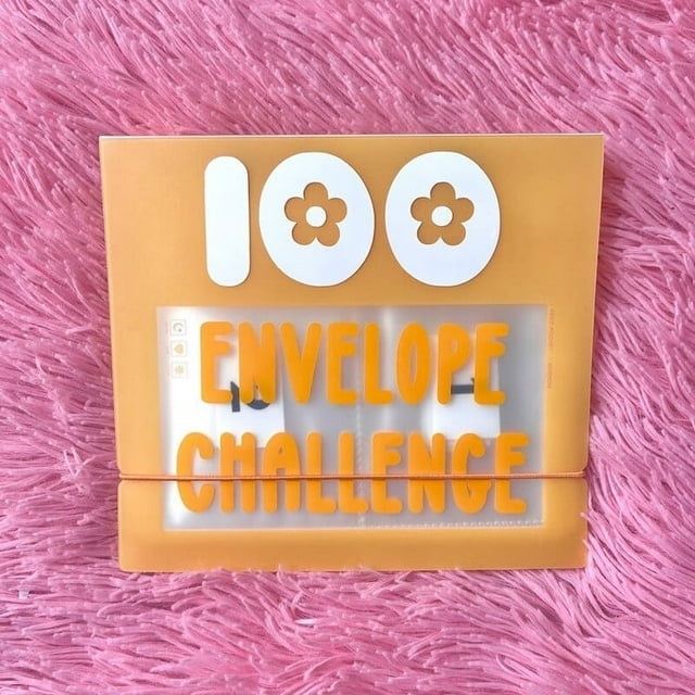 100 Enveloppes Classeur de Rangement pour 100 Enveloppes