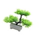 thumbnail image 3 of Planta decorativa artificial en maceta Planta artificial acogedora Plantas artificiales de pino en maceta para escritorio de cocina decorativo, 3 of 9